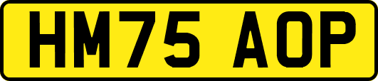 HM75AOP