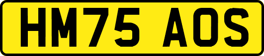 HM75AOS