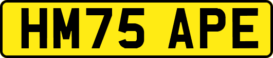 HM75APE