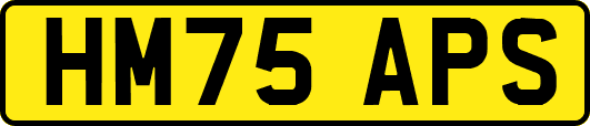 HM75APS