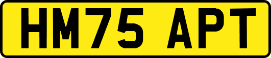 HM75APT