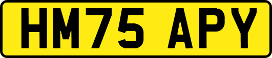 HM75APY