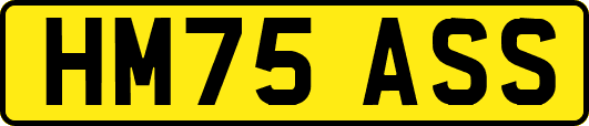 HM75ASS