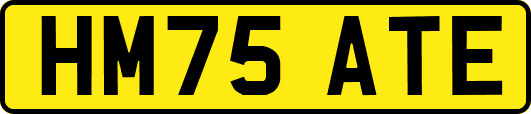 HM75ATE