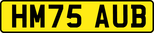 HM75AUB
