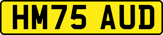 HM75AUD
