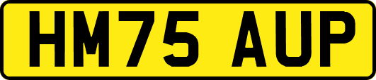 HM75AUP