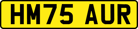 HM75AUR
