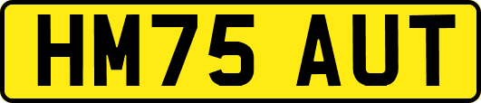 HM75AUT