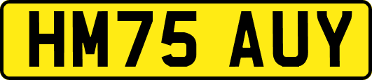 HM75AUY