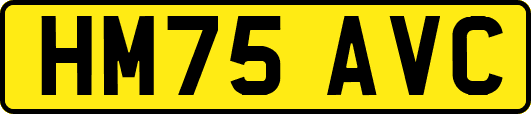 HM75AVC
