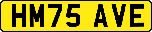 HM75AVE