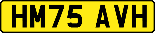 HM75AVH