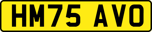 HM75AVO