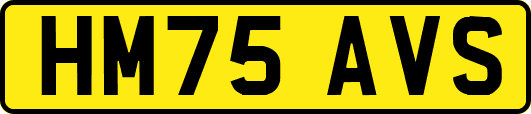 HM75AVS
