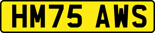 HM75AWS