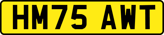 HM75AWT