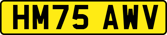 HM75AWV