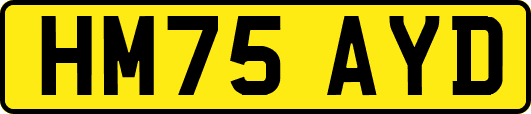 HM75AYD