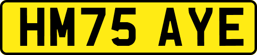 HM75AYE