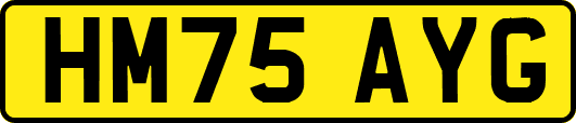 HM75AYG