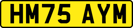 HM75AYM