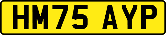 HM75AYP