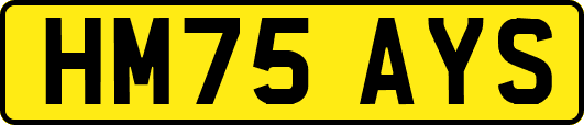 HM75AYS