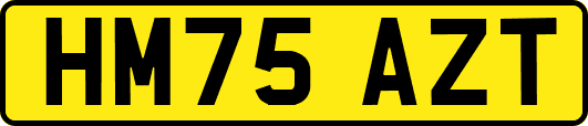 HM75AZT