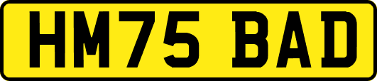 HM75BAD