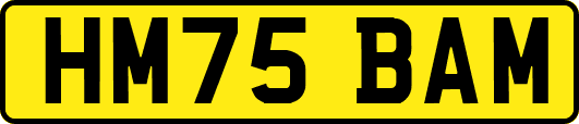 HM75BAM