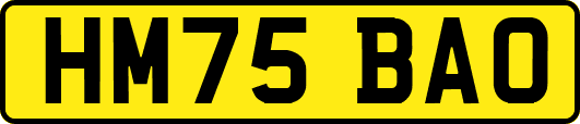 HM75BAO