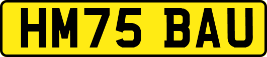 HM75BAU