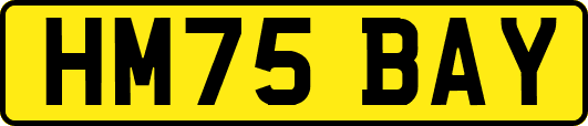 HM75BAY