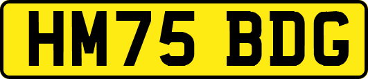 HM75BDG