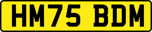 HM75BDM