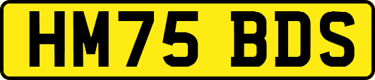 HM75BDS