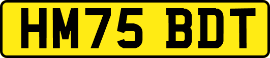 HM75BDT