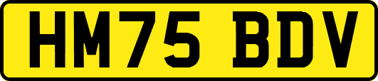 HM75BDV