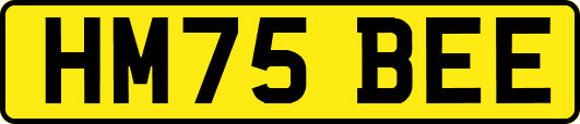 HM75BEE
