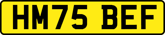HM75BEF