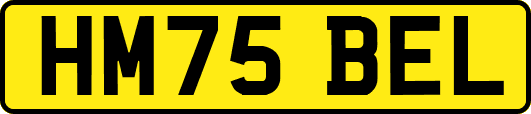 HM75BEL