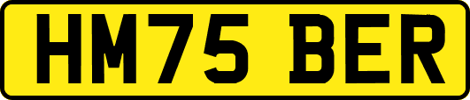 HM75BER