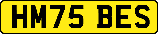 HM75BES