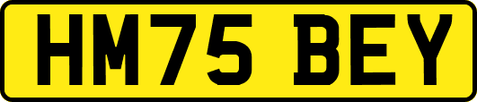 HM75BEY