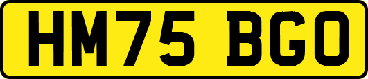 HM75BGO