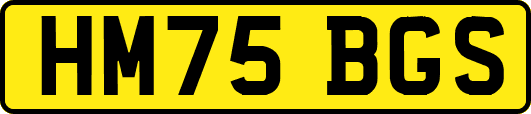 HM75BGS