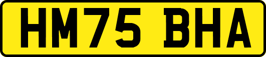 HM75BHA