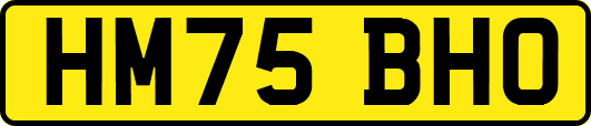 HM75BHO