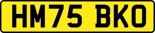 HM75BKO